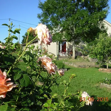 Le Jardin Des Pierres Brunes