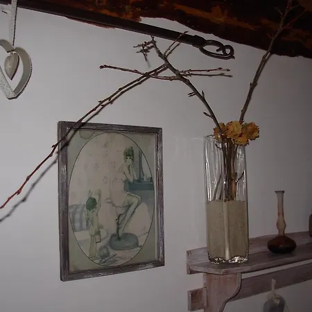 Le Jardin Des Pierres Brunes Saint-Jean-des-Ollières